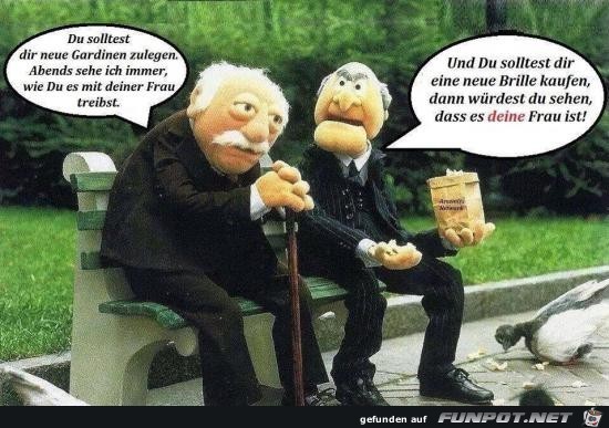 neue gardinen neue gardinen