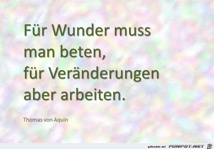 wunder