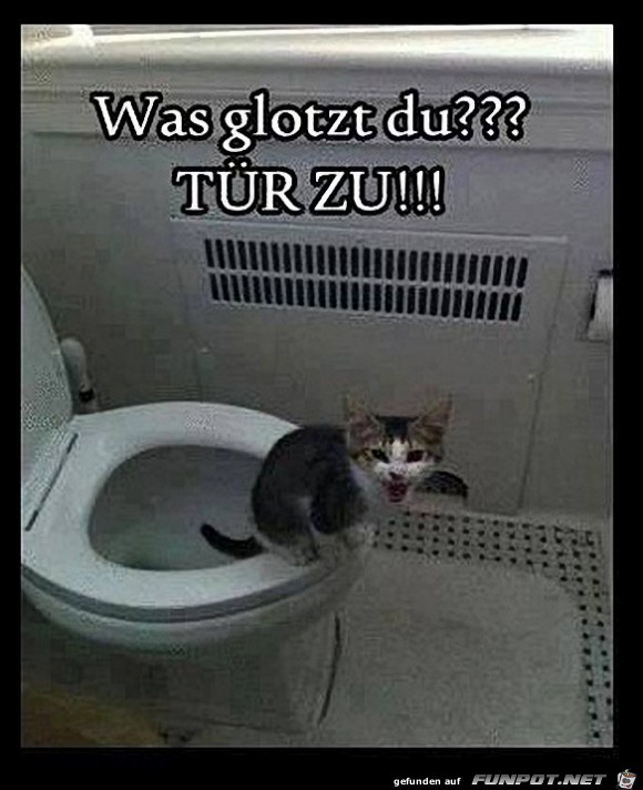 was-glotzt-du was-glotzt-du