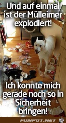 Muelleimer explodirt Muelleimer explodirt