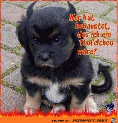 Teufelchen Teufelchen