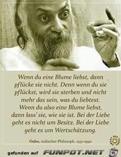 Blume Blume