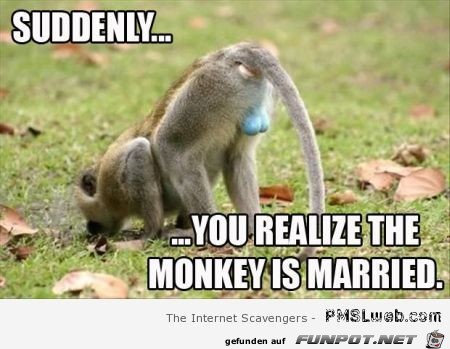 tmp 32172-31-blue-balls-monkey-is-married-1762017784