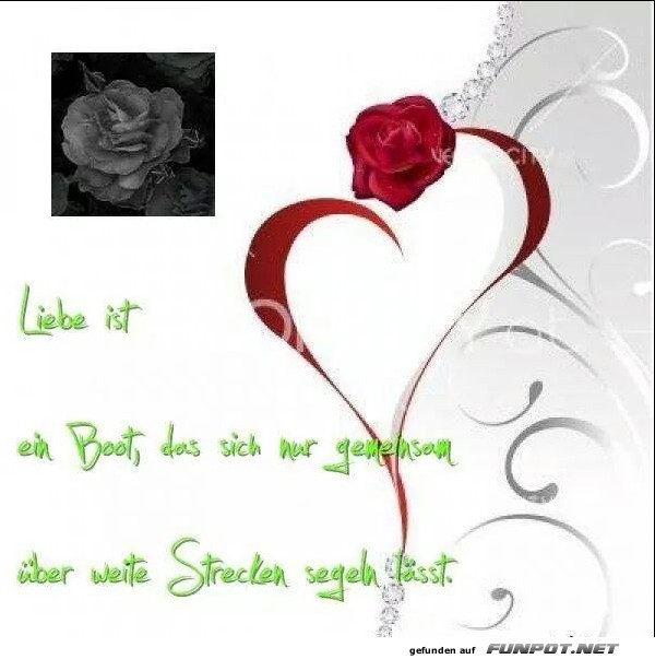10 sch�ne Spr�che und Lebensweisheiten aus...