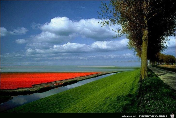 image009921 image009921