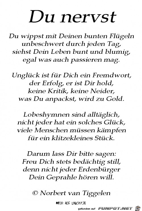 du nervst du nervst