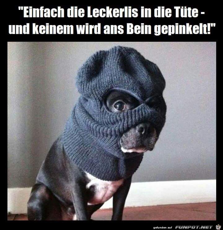 leckerlis leckerlis