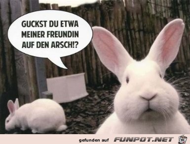 Guckst du Guckst du