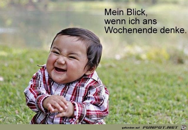 Mein Blick