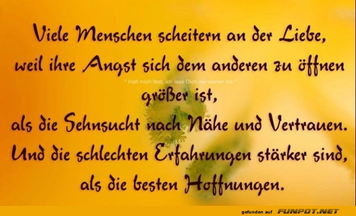 sch�ne Spr�che zur Liebe und Partnerschaft