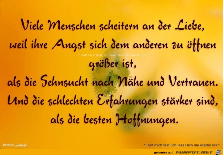 Viele Menschen Viele Menschen