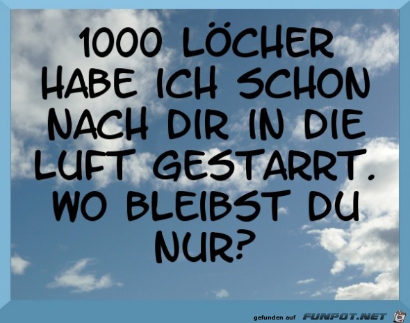 spruch-1000-loecher