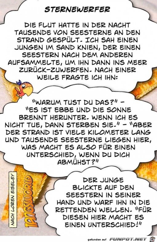 sternewerfer sternewerfer