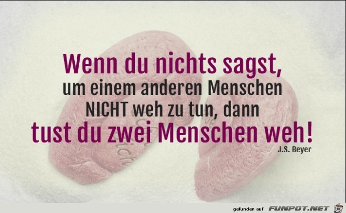 spruch-wenn-du-nichts-sagst-690x449