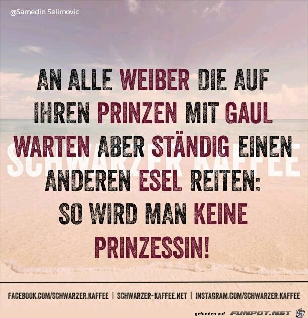 Prinz mit Gaul Prinz mit Gaul