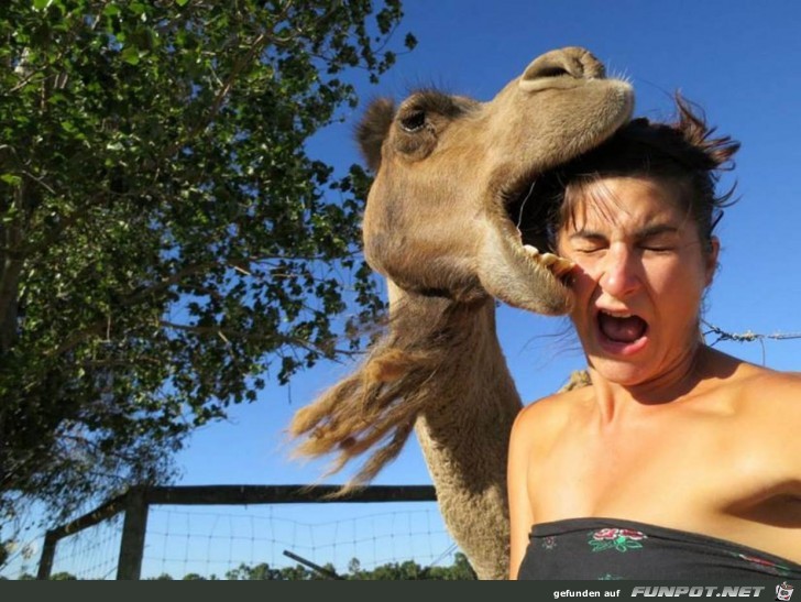 Wenn Tiere das Foto ruinieren :-)