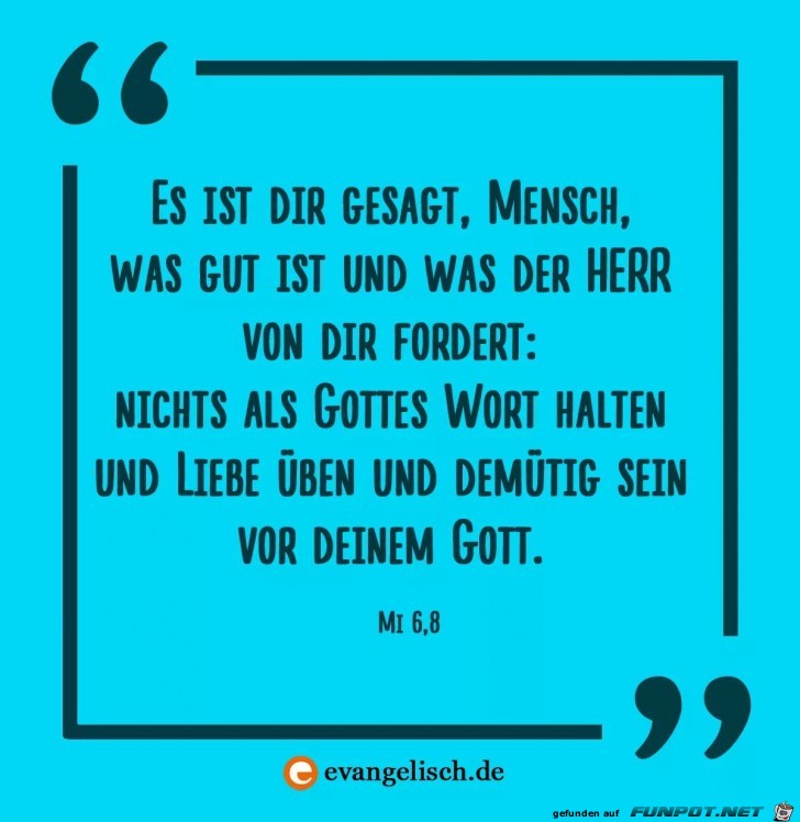 matth 6.8
