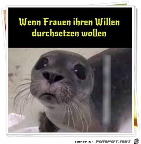 durchsetzen durchsetzen