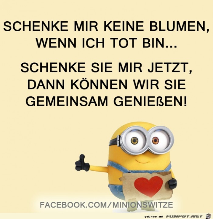 Blumen Blumen
