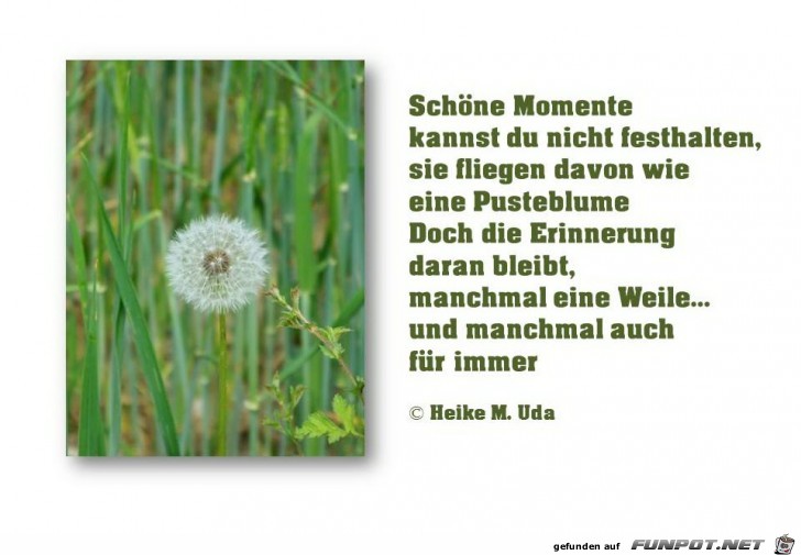 Schoene Momente Schoene Momente