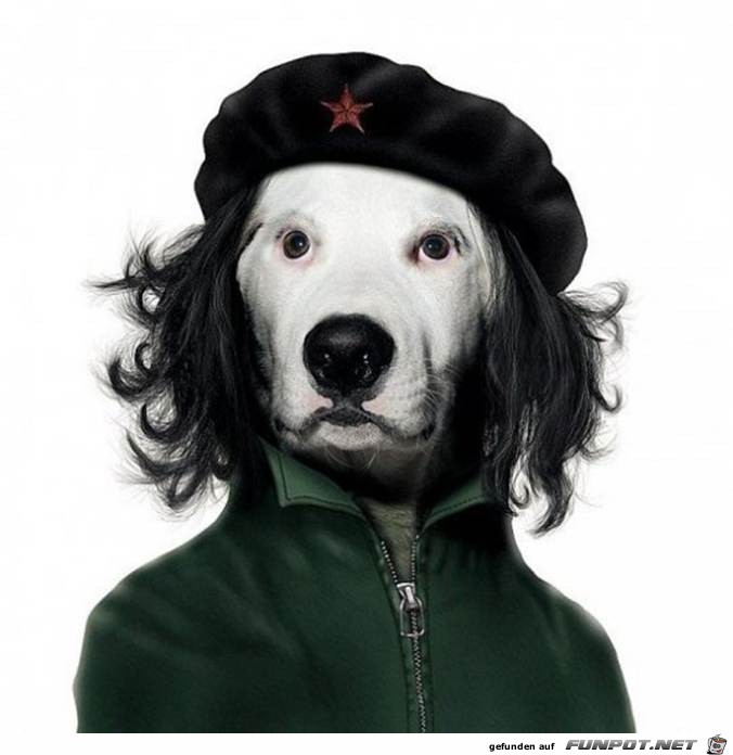 Che Guevara Che Guevara