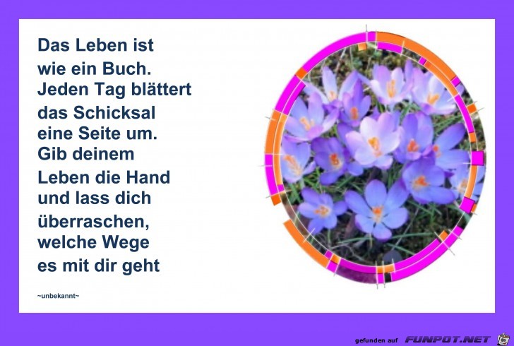 Das Leben ist wie ein Buch Das Leben ist wie ein Buch