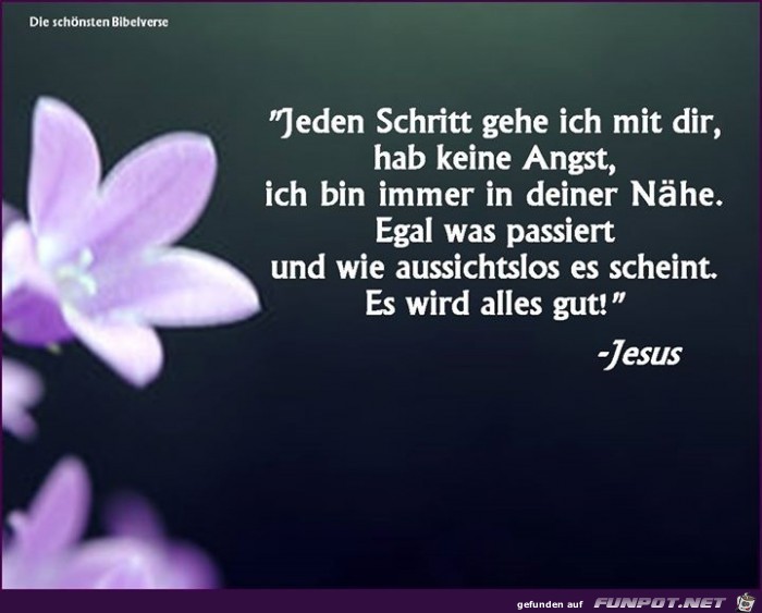 jeden schritt jeden schritt
