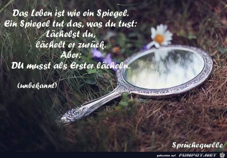 SPIEGEL SPIEGEL