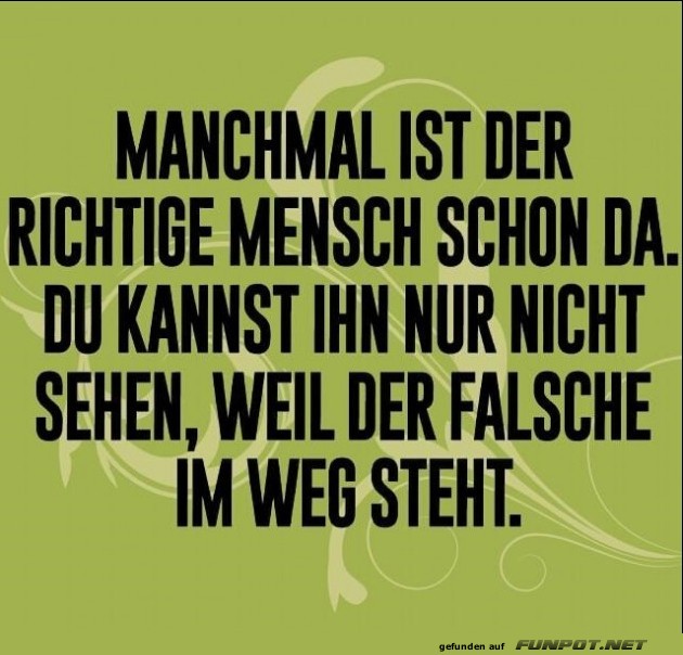10 sch�ne Spr�che und Lebensweisheiten aus...