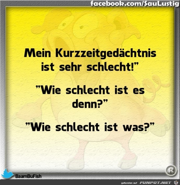 Mein Kurzzeitgedaechtnis ist schlecht Mein Kurzzeitgedaechtnis ist schlecht