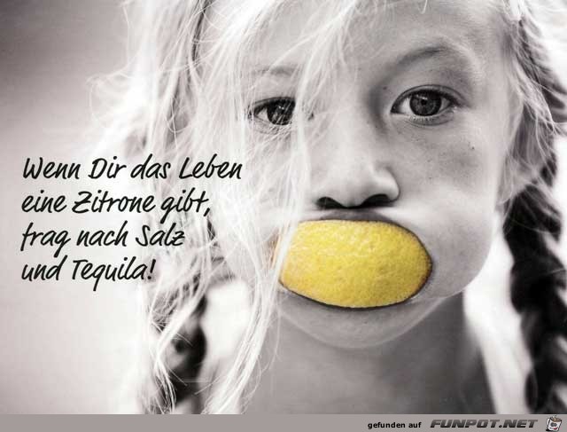 Zitrone Zitrone