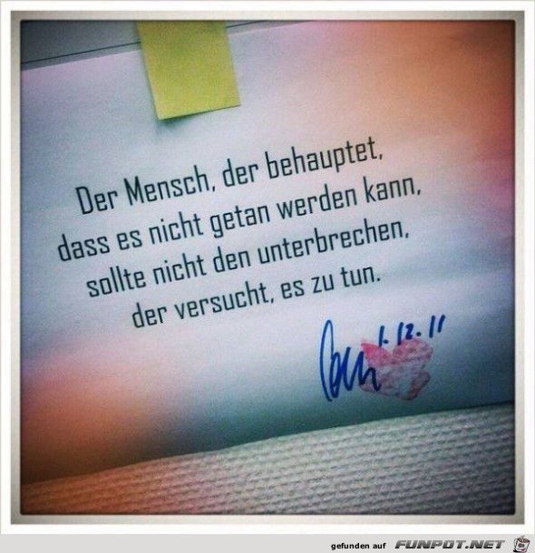 der mensch