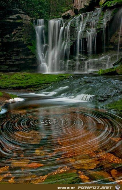 Ganz fantastische Bilder aus der Natur.