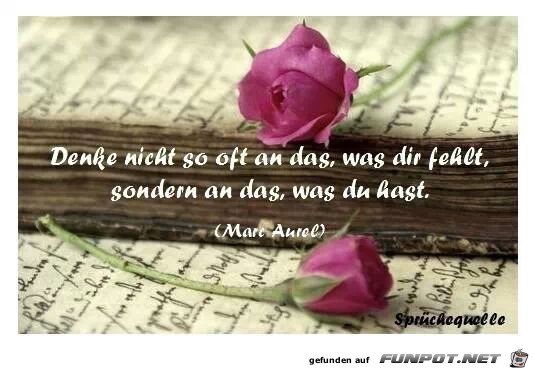 Was du hast Was du hast