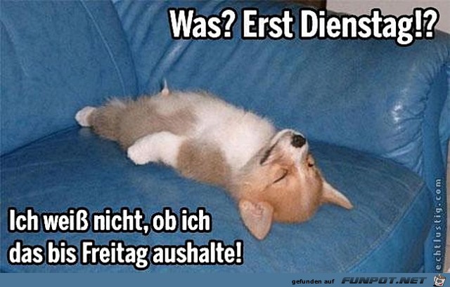 Dienstag Dienstag