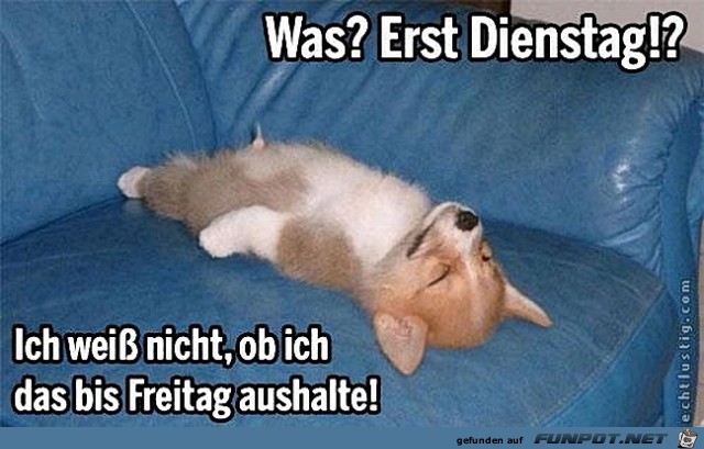 Dienstag