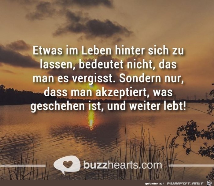 akzeptiert akzeptiert