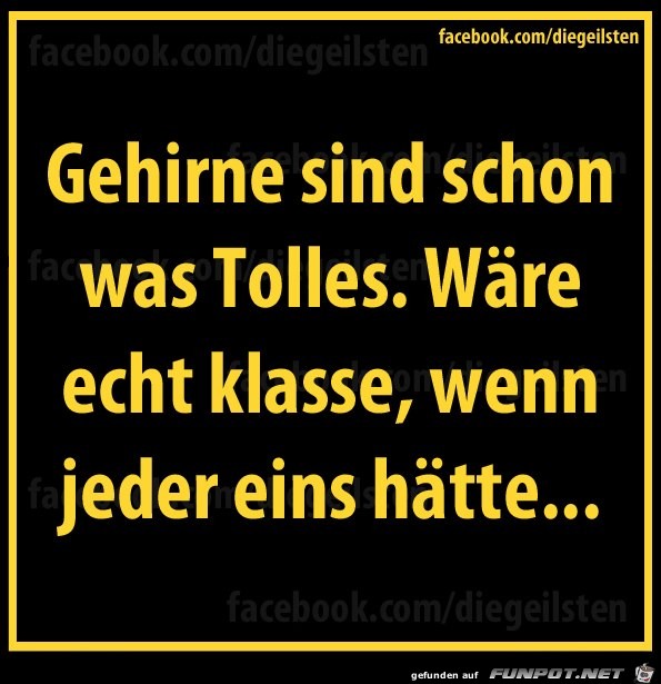 diegeilsten Gehirne diegeilsten Gehirne
