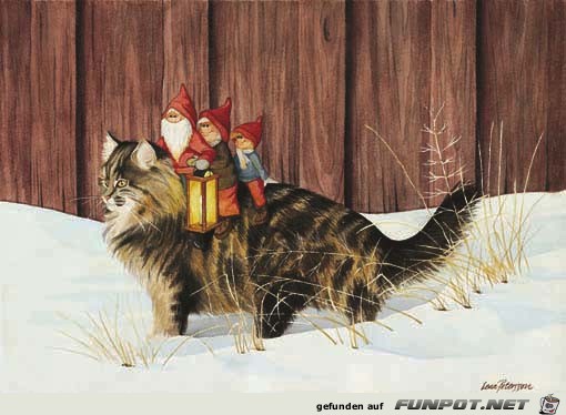 tomtaraufkatze tomtaraufkatze