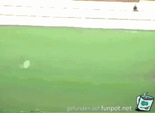 gif schafft auch nicht jeder gif schafft auch nicht jeder