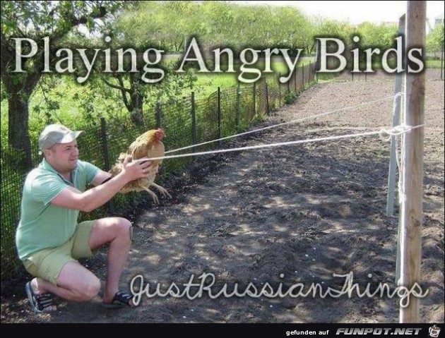 Angry Birds