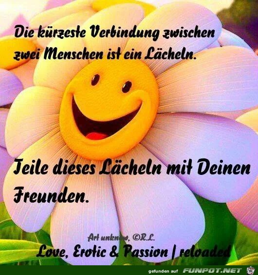 laecheln6946 laecheln6946