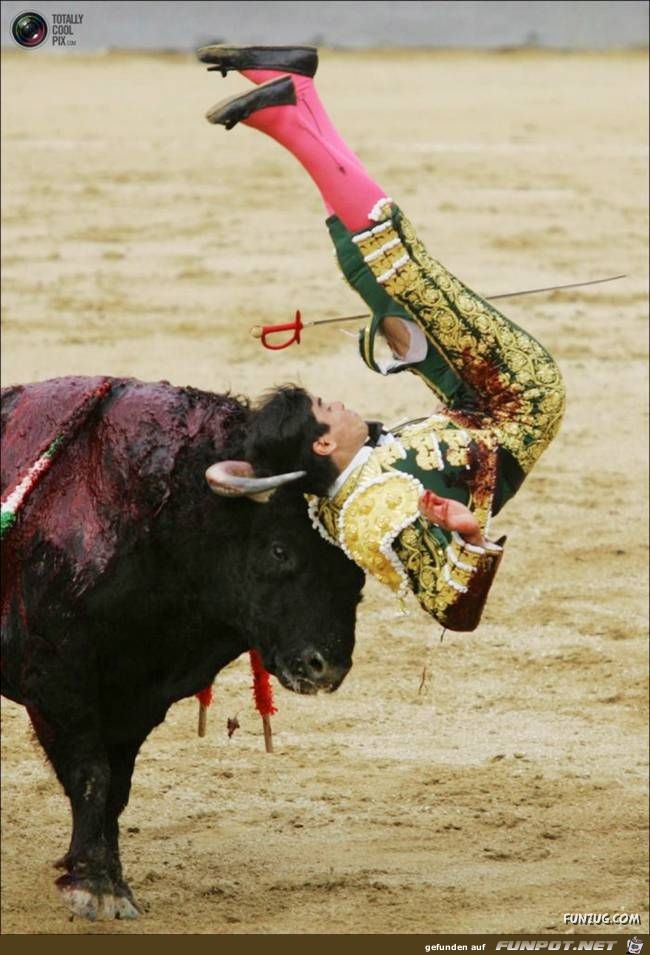 Bulls Brutal Revenge Funzug org 03 Bulls Brutal Revenge Funzug org 03