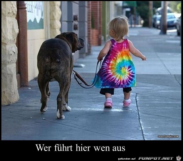 wer fuehrt hier wen aus wer fuehrt hier wen aus