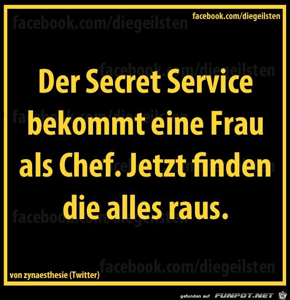 diegeilsten Secret Service