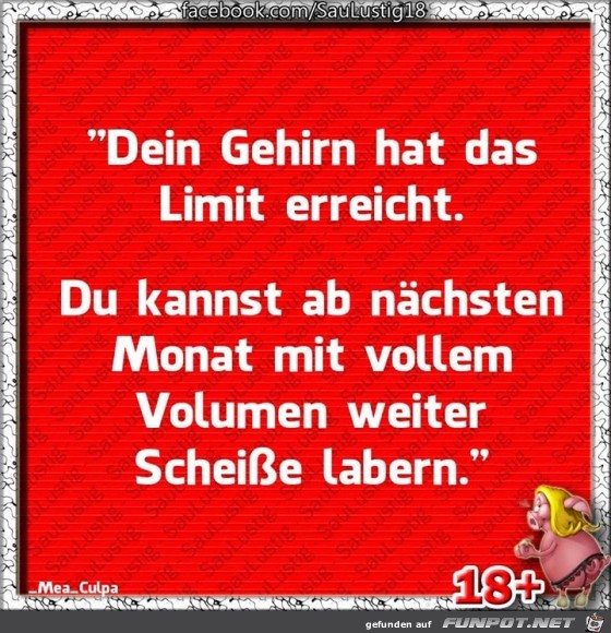 Dein Gehirn