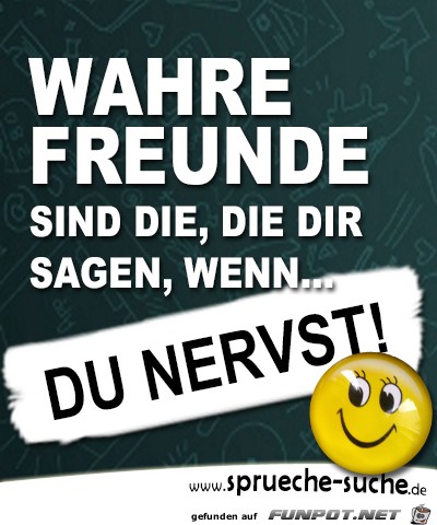 wahre freunde 