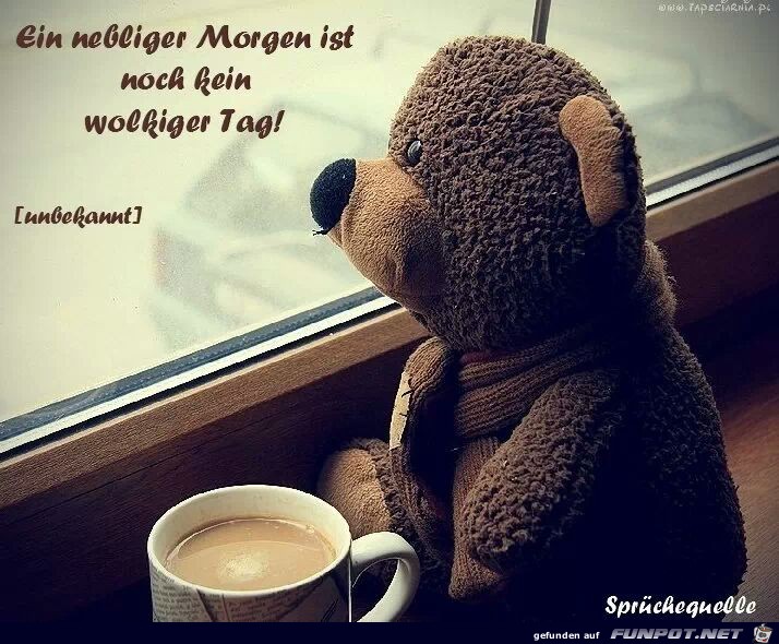 nebeliger morgen