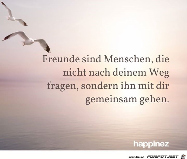 freunde sind menschen