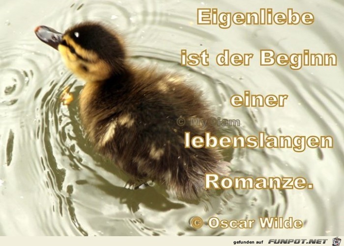 Eigenliebe